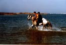 Horse riding by the sea in Naxos