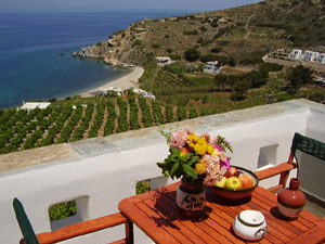 Sea view from a villa terrace in Abram, Naxos